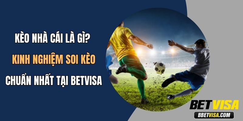 Kèo Nhà Cái Là Gì? Kinh Nghiệm Soi Kèo Chuẩn Nhất Tại Betvisa
