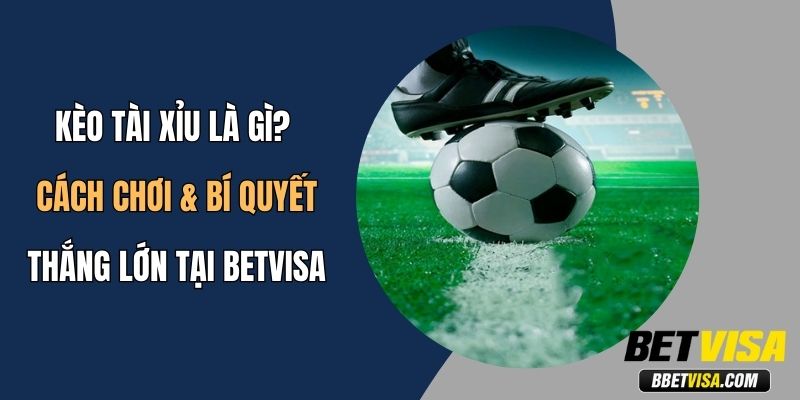 Kèo Tài Xỉu Là Gì? Cách Chơi & Bí Quyết Thắng Lớn Tại Betvisa