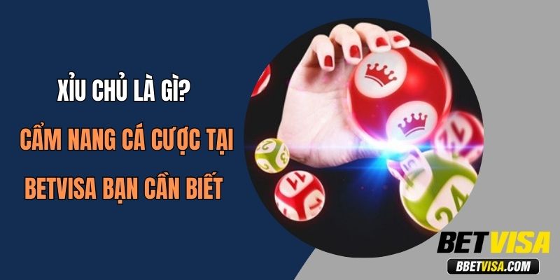 Xỉu Chủ Là Gì? Cẩm Nang Cá Cược Tại Betvisa Bạn Cần Biết 